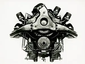Lion Series VI supercharged rear view E76S