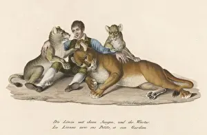 Lioness Prints: Lion & Van Amburgh