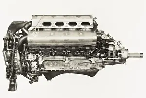 Lion VIID engine