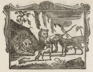 Dodsley Gallery: The Lion, Wolf and Fox