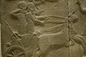 Images Dated 10th August 2006: Lions hunt relief. Sakcegozu Palace. Hitite. 750 BC