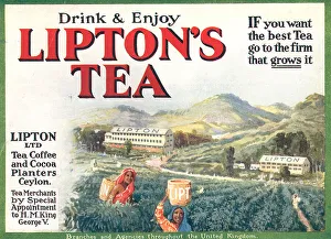 Cocoa Prints: Lipton's Tea Advertisement