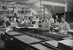 Liquorice room at a sweet factory, London