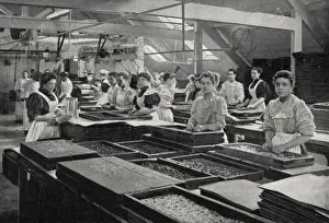 Trays Prints: Liquorice room at a sweet factory, London