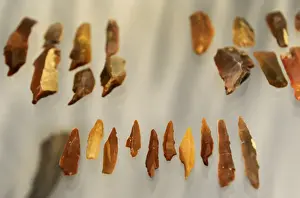 Northwestern Prints: Lithic industry. Tools used by reindeer hunters. Solbjerg, L