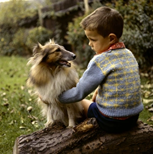 Images Dated 27th January 2017: Little boy with Collie dog in a garden