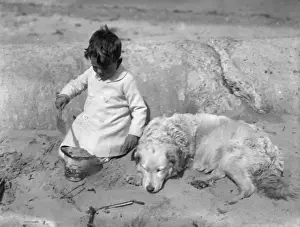 Barnabys Prints: Little boy and his dog on a sandy beach