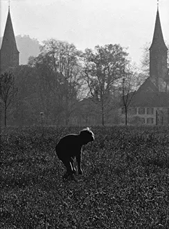 Little boy in a field on a misty day