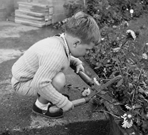 Chopping Prints: Little boy with garden shears