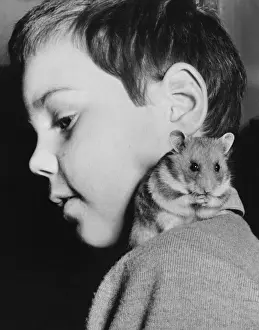 Hamster Prints: Little boy with pet hamster on his shoulder