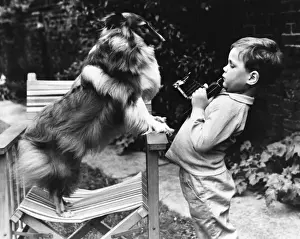 Little boy photographing pet dog in a garden