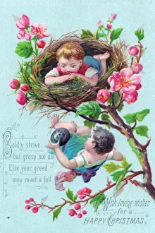 Nests Prints: Little boys birds nesting on a Christmas card