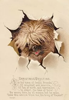 Ripped Gallery: Little dog breaking through paper on a Christmas card