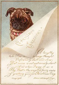 Little dog with a letter on a Christmas card