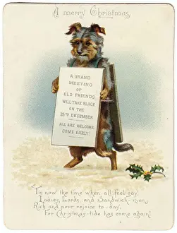 Little dog with sandwich board on a Christmas card