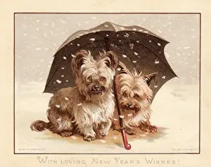 Lapdog Prints: Two little dogs in the snow on a New Year card
