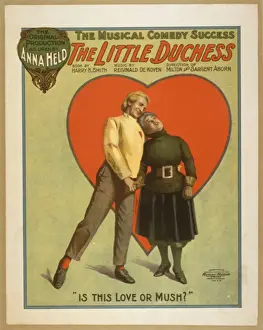 The little duchess the musical comedy success