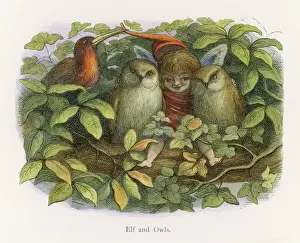 Little Folk / Elves