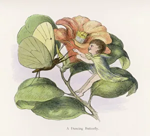 Little Folk/Elves