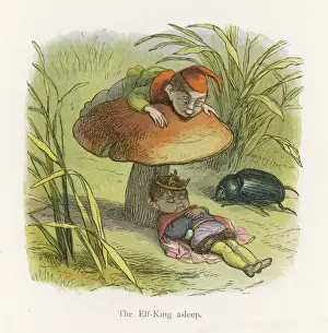 Little Folk / Elves