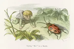 Little Folk / Elves
