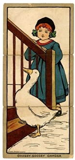 Images Dated 18th August 2017: Little Folks Misfitz Playing Cards
