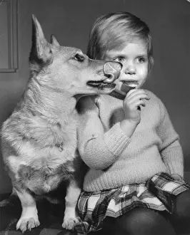 Little girl with Corgi dog