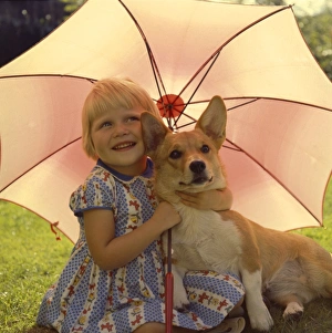 Little girl with Corgi dog under a parasol in a garden