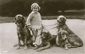 Little girl and four dogs in a garden