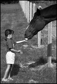 Shone Prints: Little girl feeding apple to a horse. France