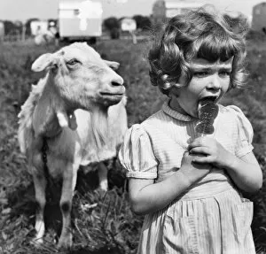 Goat Collection: Little girl and goat in caravan park