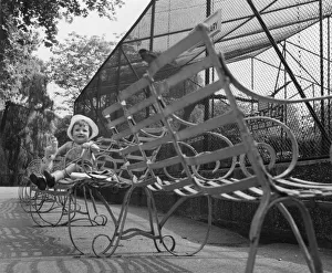 Images Dated 12th August 2019: Little girl sitting by an aviary at a zoo