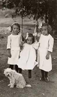 Swings Prints: Three little girls with a terrier dog in a garden