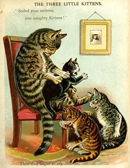 The Three Little Kittens