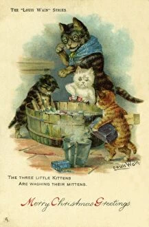 Kittens Collection: Three Little Kittens