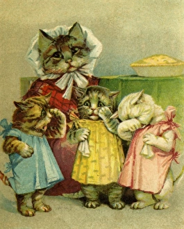 Images Dated 11th October 2011: Three Little Kittens Have Lost Their Mittens