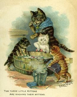 Images Dated 11th October 2011: Three Little Kittens Are Washing Their Mittens