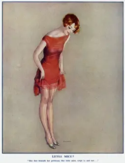 Skimpy Prints: Little Mice?