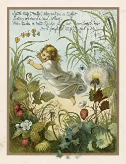 Little Miss Muffet (Evb)