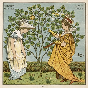 Spains Collection: Little Nut Tree (Crane)