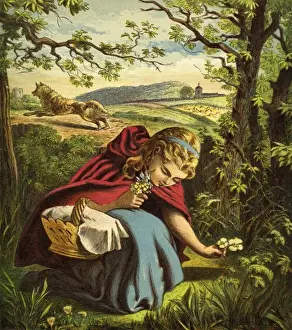 Little Red Riding Hood
