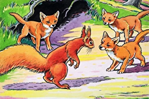 Images Dated 23rd October 2006: Little Red Squirrel