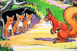 Images Dated 26th October 2006: Little Red Squirrel