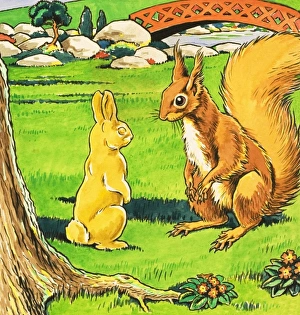 Images Dated 7th June 2007: Little Red Squirrel