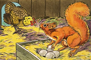 Images Dated 7th June 2007: Little Red Squirrel