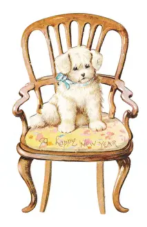 Lapdog Prints: Little white dog on a chair on a cutout New Year card