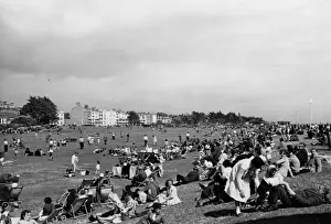 Littlehampton Common