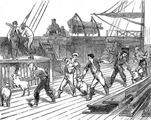 Forcing Prints: Live Provisions on the deck of the emigrant ship, Indus