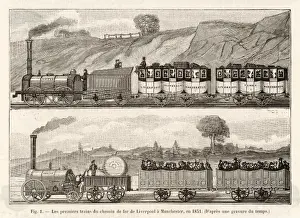 Liver Prints: Liver -Manchest Train