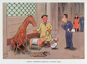 Claims Prints: Livestock Underwriter inspecting his current claims